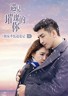 遇见璀璨的你 独家季 忆追爱记(全集)