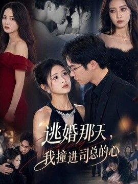 逃婚那天，我撞进司总的心(全集)
